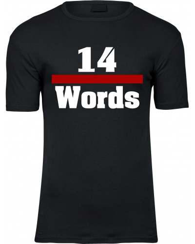 Herren Premium T-Shirt (14 Words)