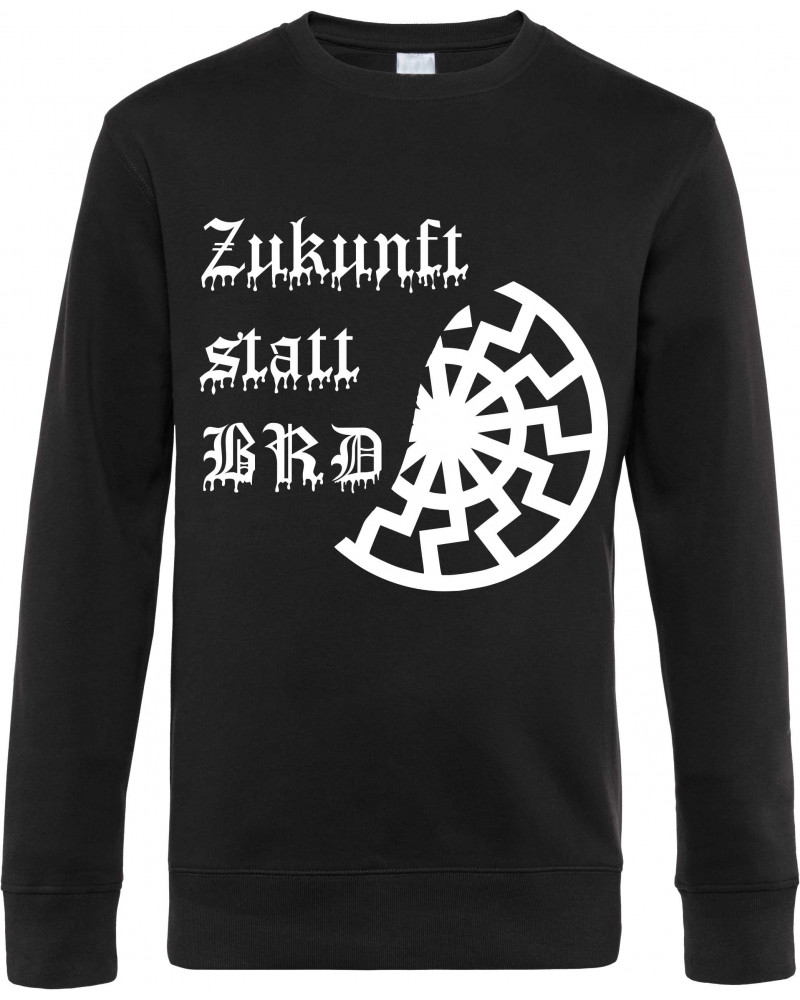 Herren Pullover (Zukunft statt BRD)