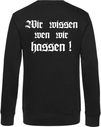 Herren Pullover (Berserker)