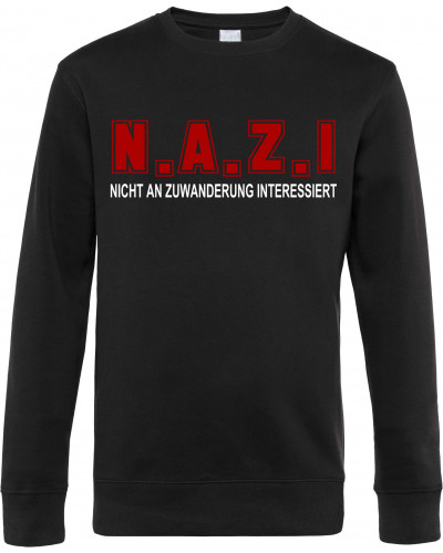 Herren Pullover (Nicht an Zuwanderung interessiert, Fahne)