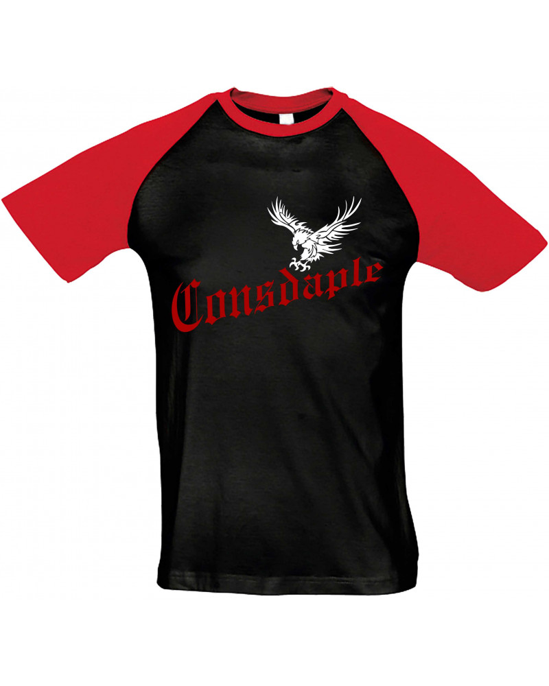 Herren T-Shirt "Bragi" (Consdaple, Adler im Flug)