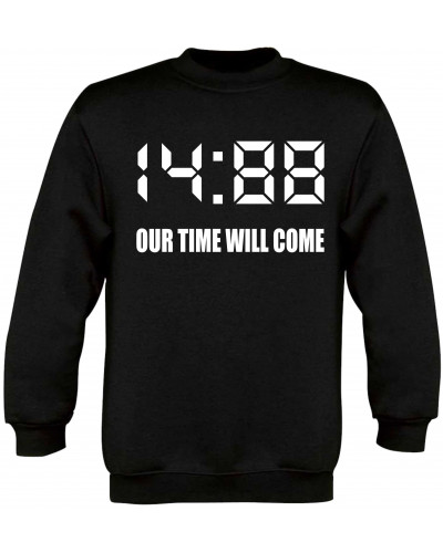 Kinder Pullover (1488 Our time will come)