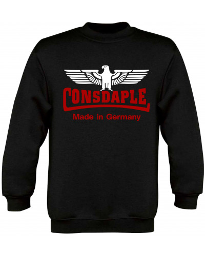 Kinder Pullover (Consdaple, Adler made in Germany)