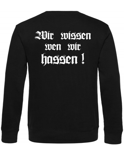 Kinder Pullover (Berserker)