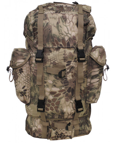 BW Kampfrucksack, 65 l, Alu-Aussteifung, snake FG