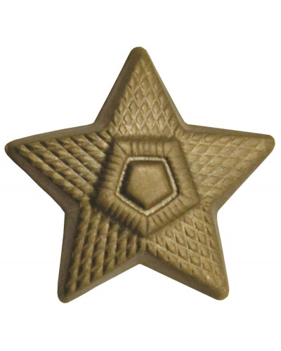 10 Stk. CZ/SK Metallabzeichen, bronze,"Stern", neuw.