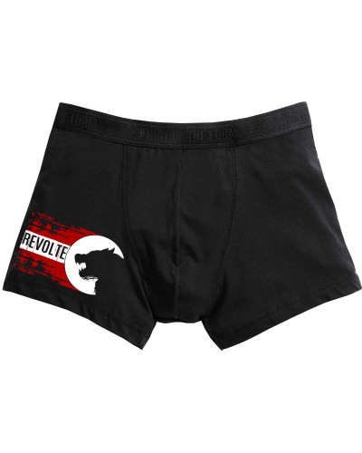 Herren Boxershort (H8-Front)