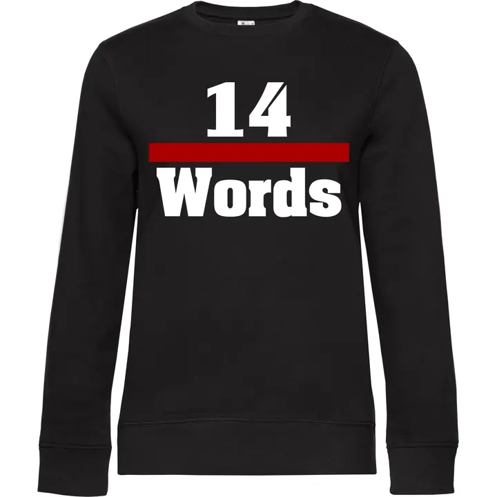 Damen Pullover - 14 Words