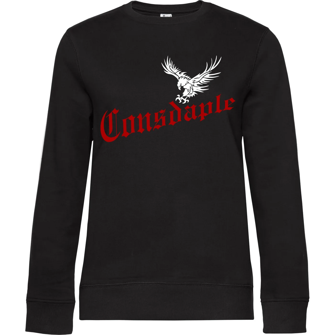 Damen Pullover - Consdaple, Adler im Flug