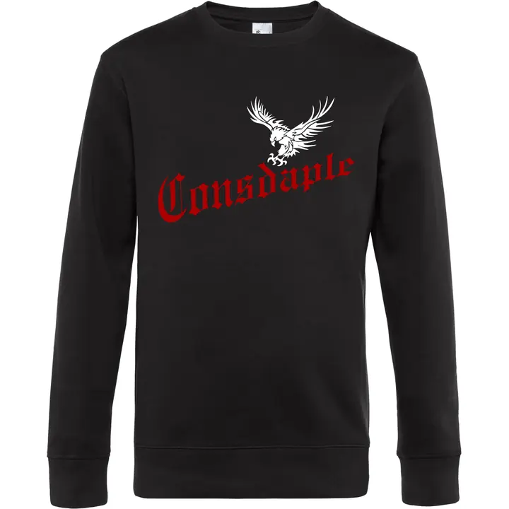 Herren Pullover - Consdaple, Adler im Flug