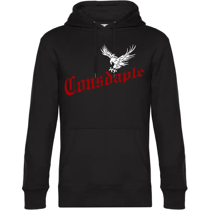 Herren Kapuzenpullover - Consdaple, Adler im Flug