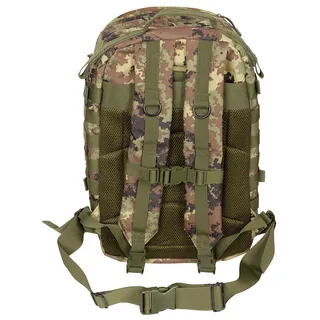 US Rucksack, Assault II, vegetato