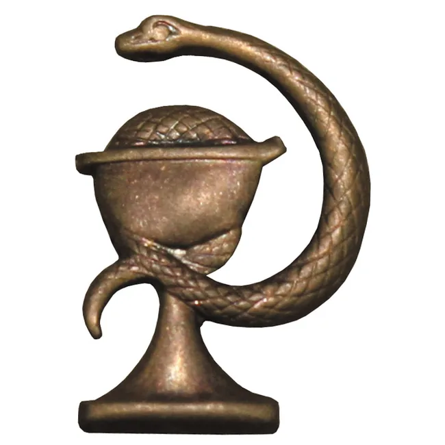 CZ/SK Metallabzeichen, bronze, "Arzt", neuw.
