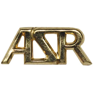 CZ/SK Metallabzeichen, gold, "ASR", neuw.