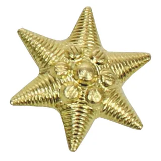 Ungar. Metallabzeichen, gold, "Stern", neuw.