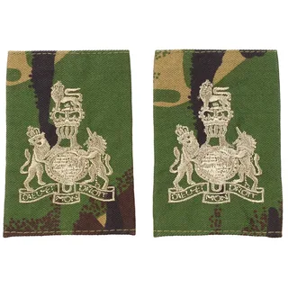 Brit. Schulterklappen, DPM, 10 Paar, WARRANT OFFICER RAF