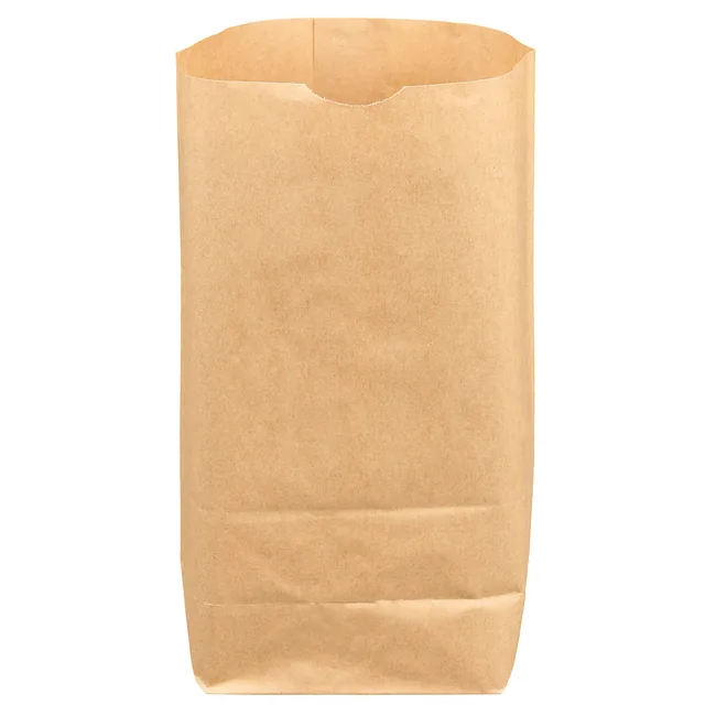 Papiertüte, 50er Pack, 23 x 25 cm, (B x H), neuw.
