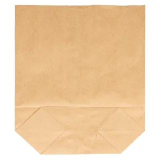 Papiertüte, 50er Pack, 23 x 25 cm, (B x H), neuw.