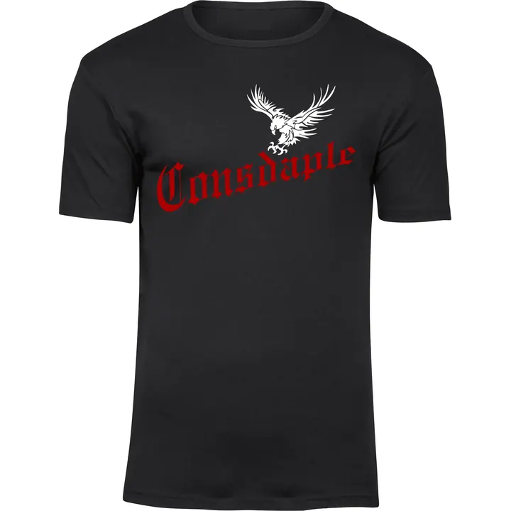 Herren Premium T-Shirt - Consdaple, Adler im Flug